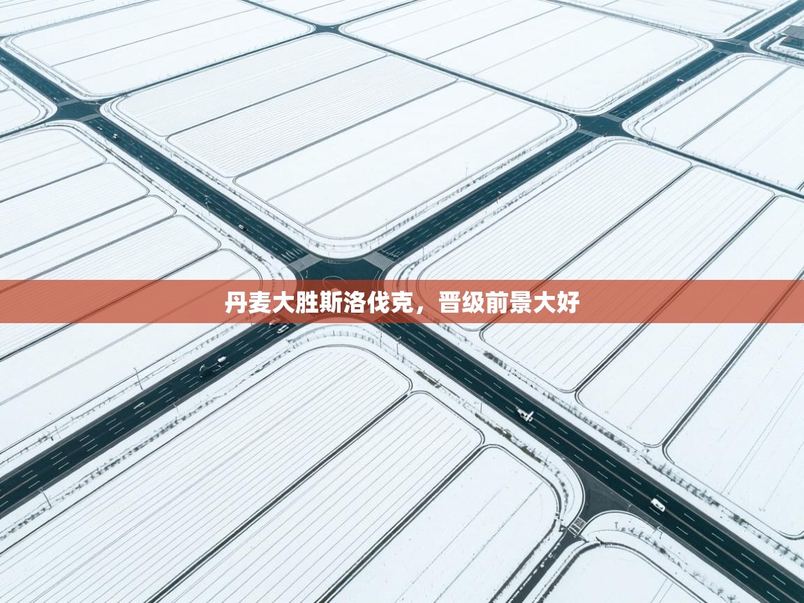 丹麦大胜斯洛伐克,晋级前景大好 第1张