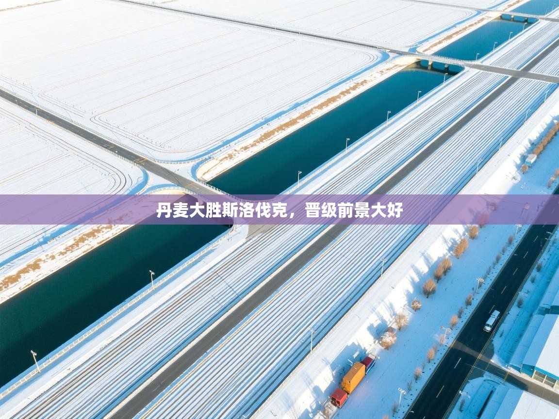 丹麦大胜斯洛伐克,晋级前景大好 第2张